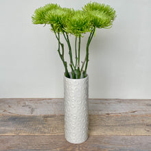Load image into Gallery viewer, CIRCLE CYLINDER VASE IN IVORY-SMALL
