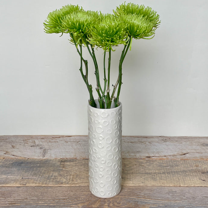 CIRCLE CYLINDER VASE IN IVORY-SMALL