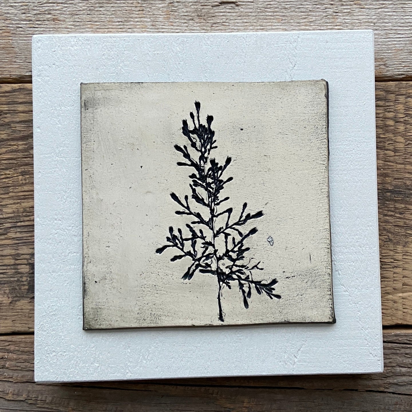 ART BLOCK WITH PLANT 001