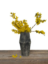 Load image into Gallery viewer, CHARRED LINEN LUCA VASE