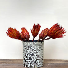 Load image into Gallery viewer, KALAHARI UTENSIL HOLDER - D