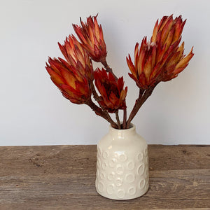 IVORY CIRCLE VASE