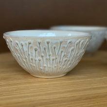 Load image into Gallery viewer, EVERYDAY BOWL IN OATMEAL WITH PUSSY WILLOWS (SET OF 2) MEDIUM