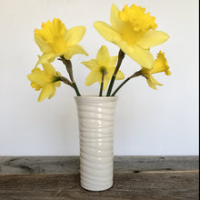 Load image into Gallery viewer, WAVE TINA VASE IN IVORY