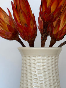 IVORY SHELLEY VASE IN CORAL