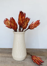 Load image into Gallery viewer, IVORY SHELLEY VASE IN CORAL
