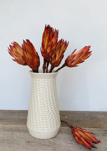 IVORY SHELLEY VASE IN CORAL