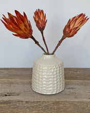 Load image into Gallery viewer, IVORY TOBI VASE IN CORAL (5&quot; tall, opening 1.5&quot;)
