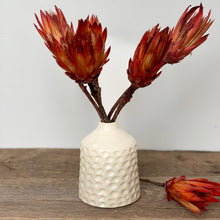 Load image into Gallery viewer, IVORY TOBI VASE IN CORAL B