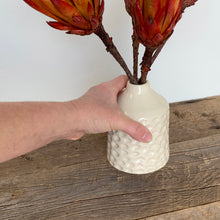 Load image into Gallery viewer, IVORY TOBI VASE IN CORAL B