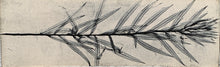 Load image into Gallery viewer, MULTI USE HANGER - BOTANICAL C